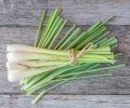Lemongrass Body Scrub